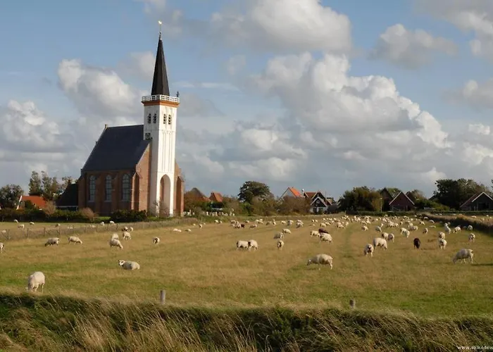 Texelzon